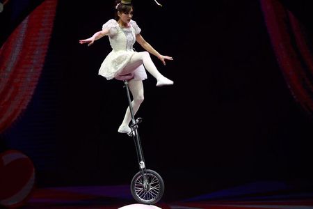 Amazing Acrobats: Grand Shanghai Circus Show
