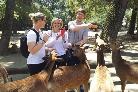 Nara Highlight Private Walking Tour with Licensed Guide