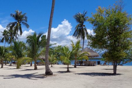 Luli island, cowrie isla, pambato reef Puerto princesa excursion