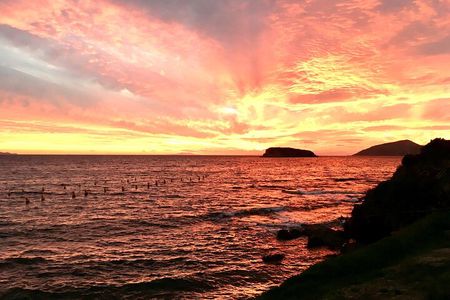 Athenian Riviera Swim & Temple of Poseidon Sunset Seaside Dinner