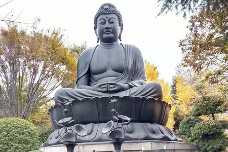 Walking tour, Tokyo Great Buddha, Botanical Garden, etc.