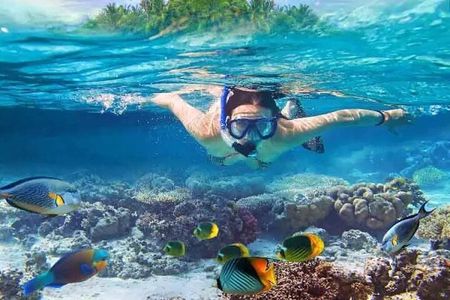 Nusa Penida West trip with snorkeling at 3 spot with Free Meals