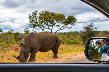 3-Day Private Camping Safari in Serengeti and Ngorongoro Crater 