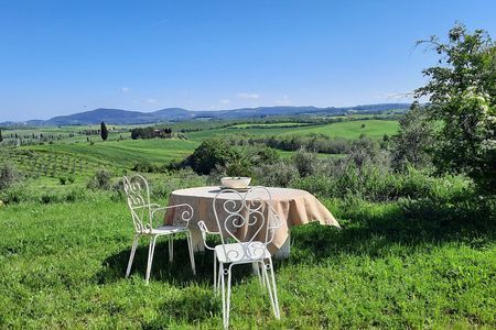 Olive experience Walk among the olive trees with tasting
