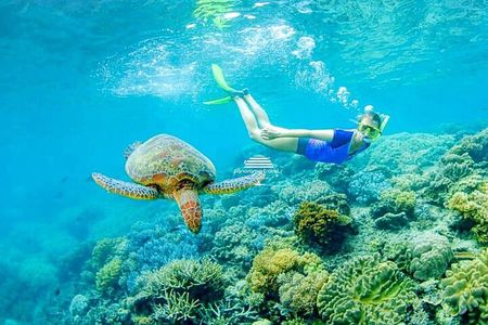 Snorkeling Trip to Daymaniyat Islands from AlMouj Marina