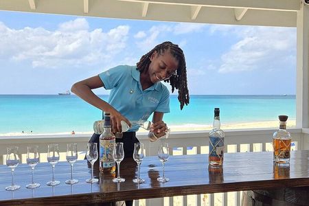 Stade's and Planteray Rum Tasting and Beach Experience