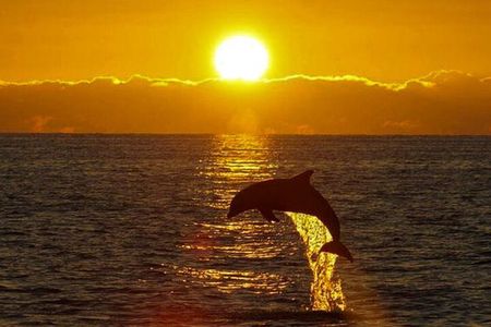 Private Cruise in Destin and Fort Walton Beach - up to 12pax