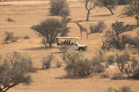Game drive in Victoria Falls National Park