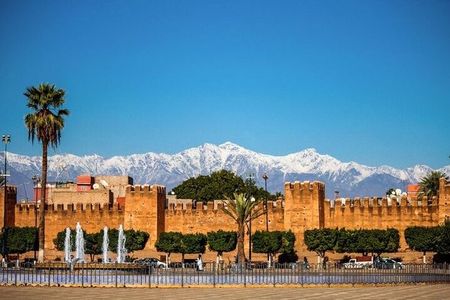 Agadir Morocco: Day Trip To Taroudant & Tiout Oasis with Lunch