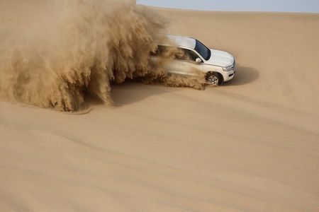 Half Day Desert Tour with 1 Hour Camel Ride