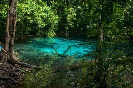  Tiger Cave and Emerald Pool Jungle Tour from Krabi
