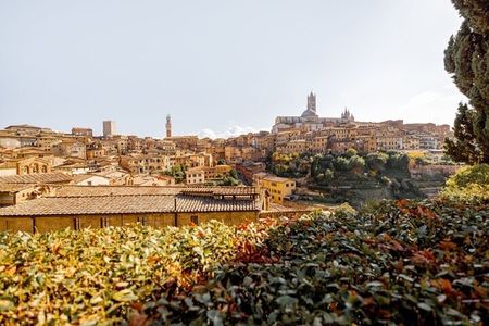 Siena Highlights Private Walking Tour With A Guide (Private Tour)