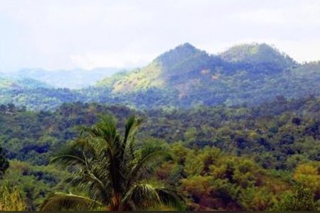 Bob Marley Nine Mile Home Private Tour from Montego Bay