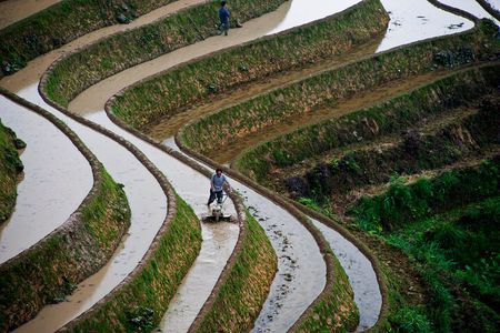 Guilin: Longji Rice Terraces and Villages Private Day Tour