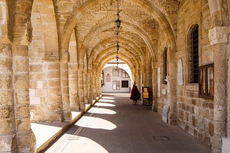 Private Walking Tour of Larnaca