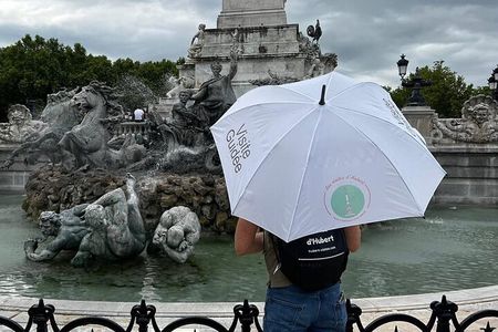 Private tour of Bordeaux by a Bordeaux historian
