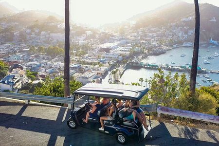 2 Hour Private Tour of Avalon