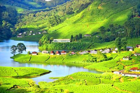 Private Full Day Wild Trails at Thekkady