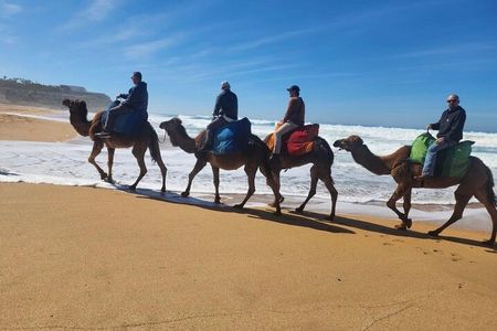 Half-Day Tangier Private Tour & Camel Ride & Colorful Markets 