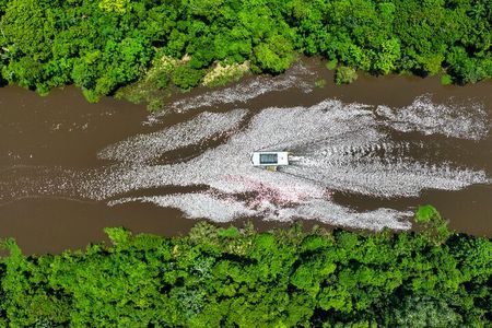 River Journey Among Pink Dolphins and Untouched Rainforest
