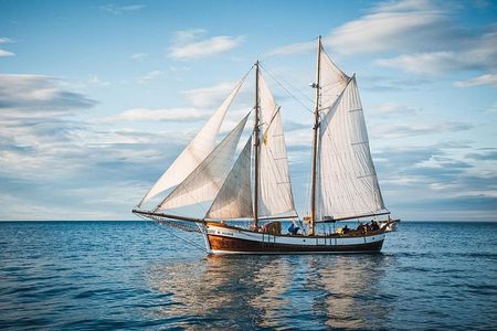 Whale Watching on a Traditional Oak Sailing Ship from Husavik