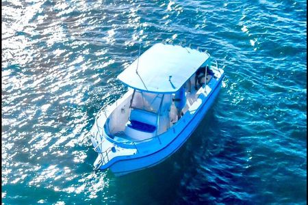 Adventure Stingray City, Snorkeling the Reef and Star Fish Point