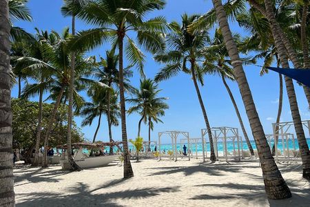 Saona Island and Chavon River Tour with Lunch and Drinks