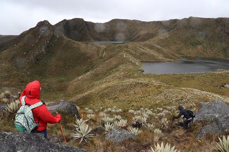 Chingaza Siecha & Cuchillas Lakes Trek