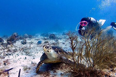 Discover Scuba Diving in Cozumel