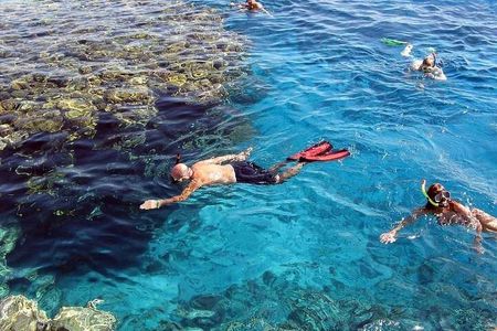 Full Day Marsa Mubarak Snorkeling & Lunch & Transfer : Marsa Alam