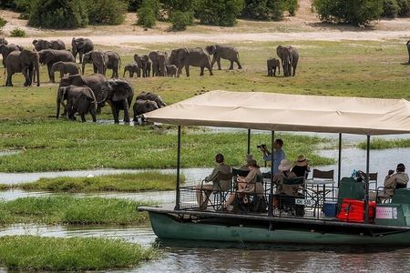 Chobe Safari Day Trip – From Livingstone