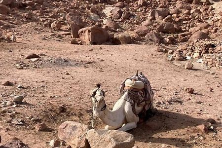 Overnight Tour Moses Mountain St. Catherine Monastery from Cairo