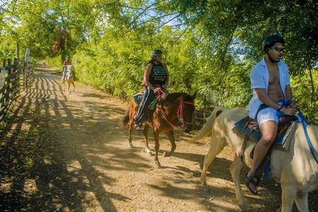 Punta Cana Horseback Ride: Jungle, Macao Beach & Free Pick Up