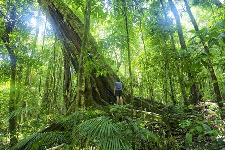 Mossman Gorge Daintree Experience Small Groups