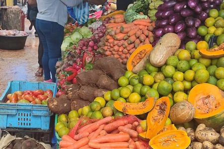 Half-day City tour cultural from punta cana for small group