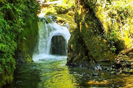 Full Day of Adventures in Mindo Area
