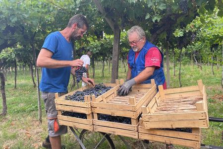 Discover the Amarone wine: 1 winery with delicious food pairing