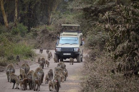 4 Days Group Camping Safari of Tanzania