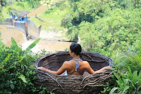 Bali Swing Packages and Uluwatu Temple Sunset Private Tour