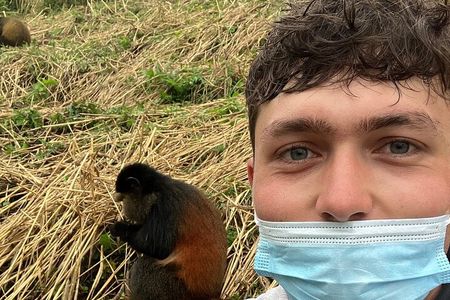 Full Day Private Golden Monkey Tour