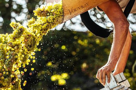 Loire Valley Wine Half Day Tour in Vouvray