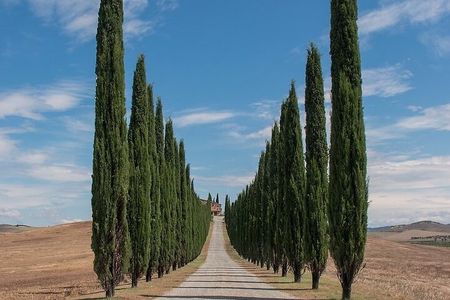 From Rome: Private Day-Tour of Tuscany
