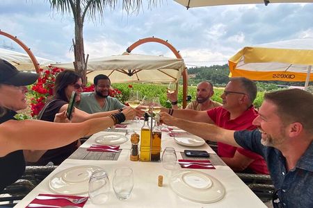 Private Ephesus Tour & Wine Tasting & Mediterrranean Lunch