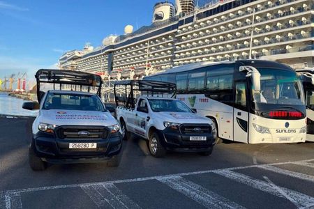  Moorea Cruise Ships: 4x4, Belvedere,Magic Mountain pineaple