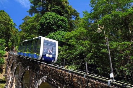 Fast Lane Penang Hill with Temple & Penang Habitat tour