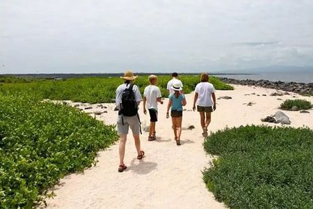 Galapagos - North Seymour Island Wildlife Snorkeling Tour + Lunch