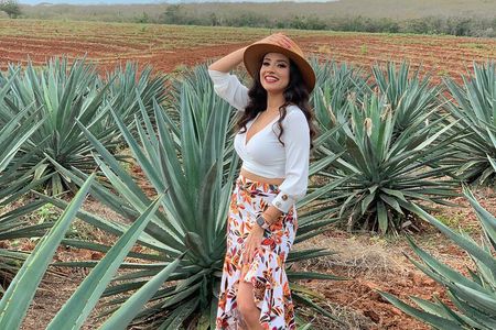 Mezcal Food Tasting Tour with Lunch Included 