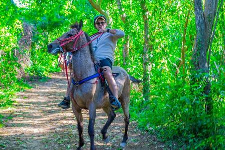 Punta Cana Horseback Ride: Jungle, Macao Beach & Free Pick Up