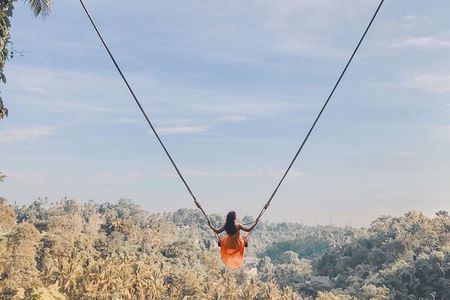 Ubud Full Day - Monkey Forest, Temple and Waterfalls Tour 