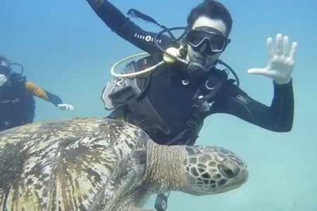 Scuba Diving Tour at Cano Island (Isla del Caño) from Drake Bay